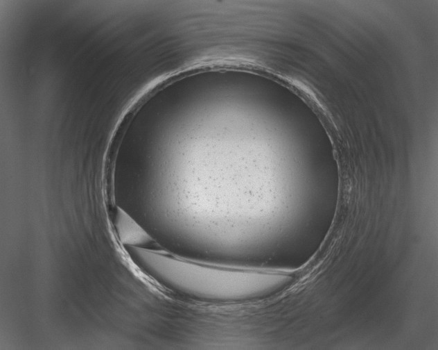 X0000082981038200702230028