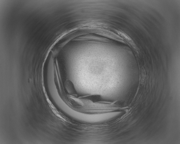 X0000082981039200702230028