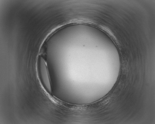 X0000082981040200702230028