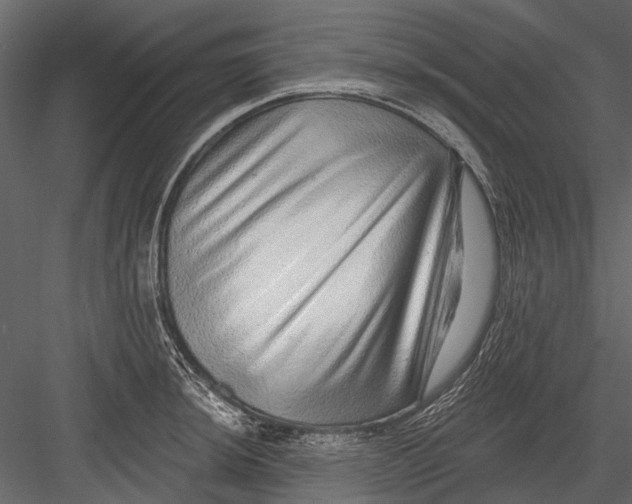 X0000082981044200702230028