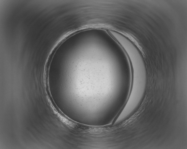X0000082981046200702230028
