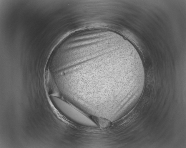 X0000082981047200702230028