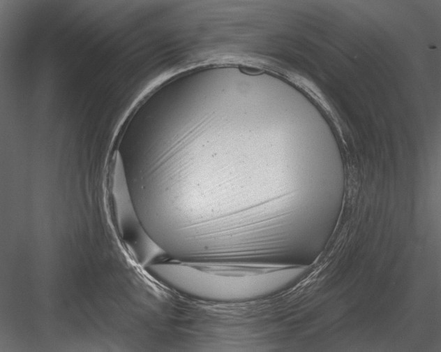 X0000082981048200702230028