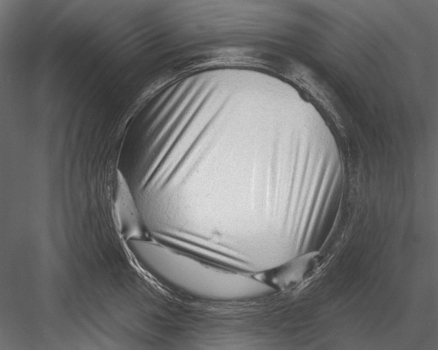 X0000082981049200702230028