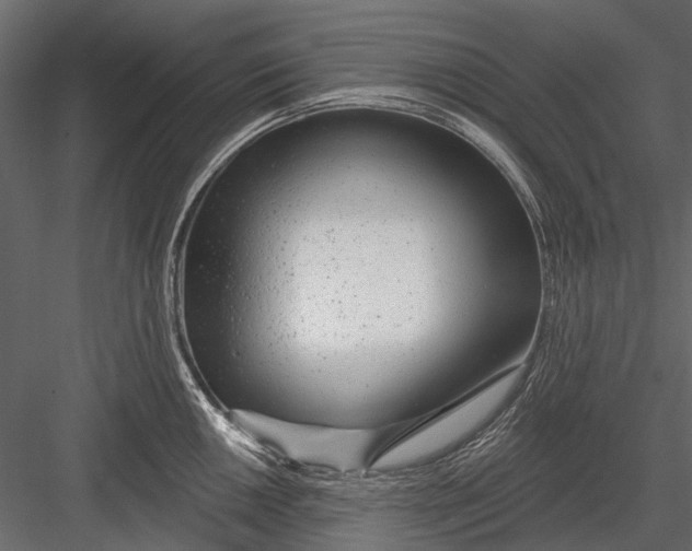 X0000082981050200702230028