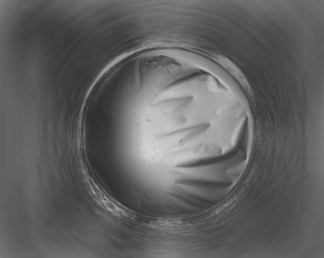 X0000082981052200702230028