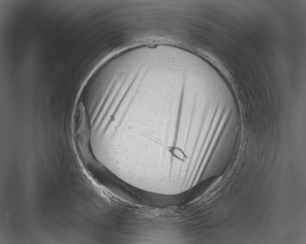 X0000082981056200702230028