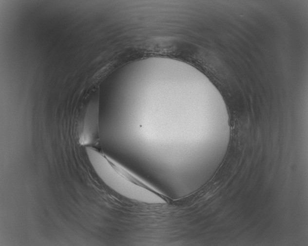 X0000082981058200702230027