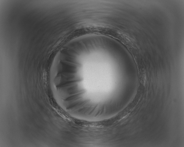 X0000082981061200702230027