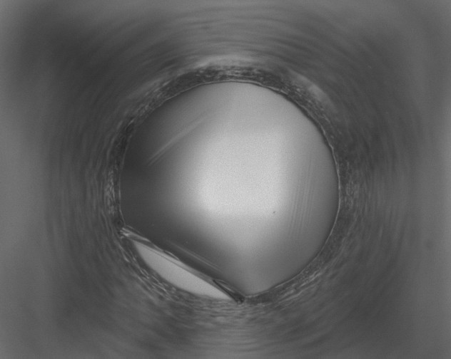 X0000082981062200702230027
