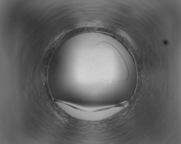 X0000082981064200702230027