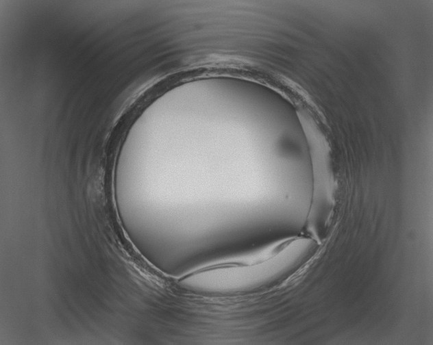 X0000082981066200702230027