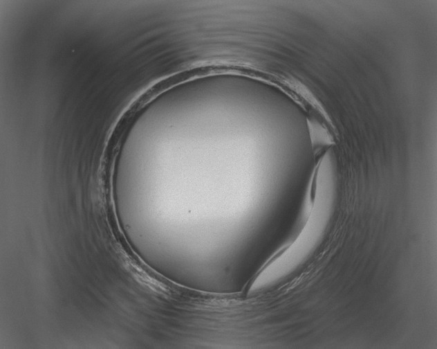 X0000082981068200702230027