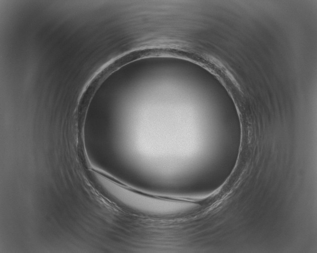 X0000082981069200702230027