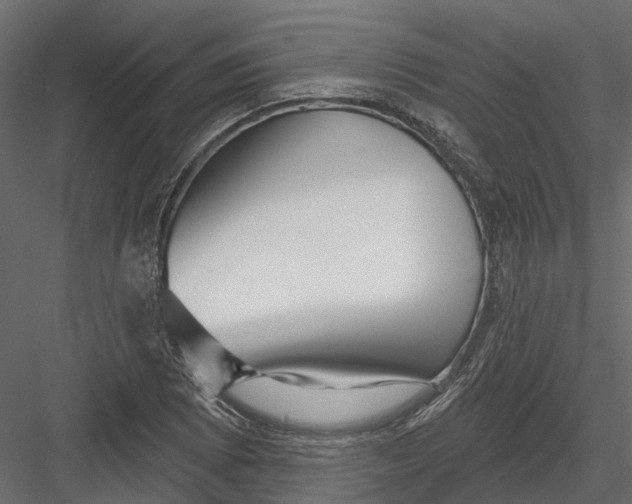 X0000082981073200702230027