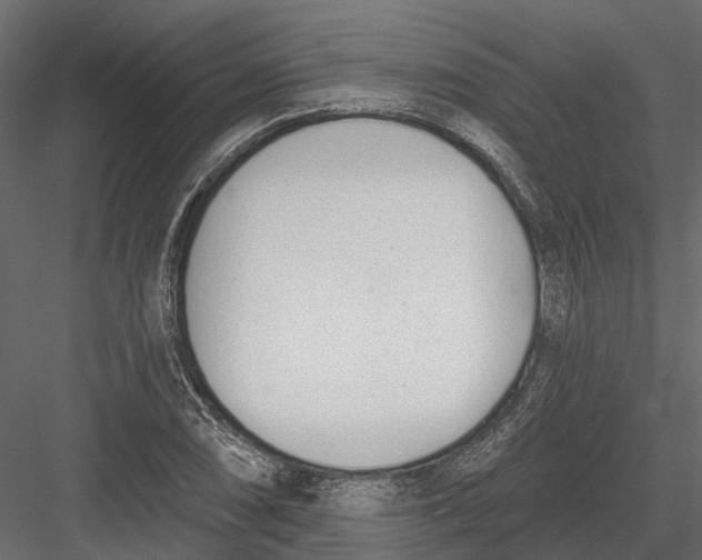 X0000082981074200702230027