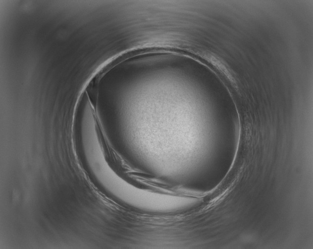 X0000082981077200702230027