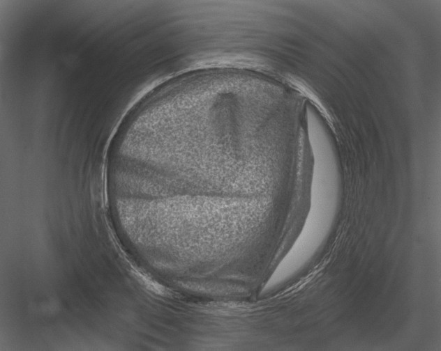 X0000082981079200702230027