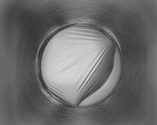 X0000082981080200702230027