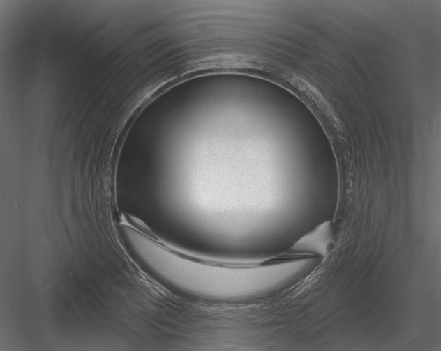 X0000082981081200702230027