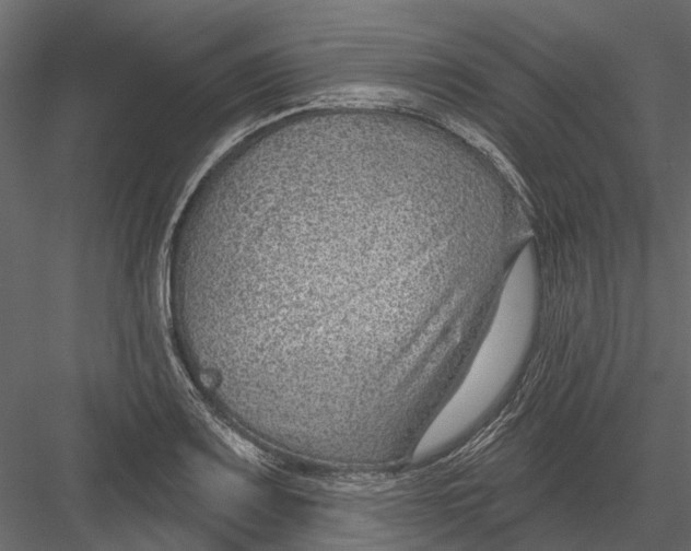 X0000082981083200702230027