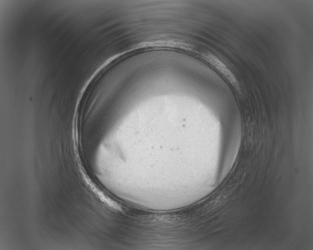 X0000082981084200702230027