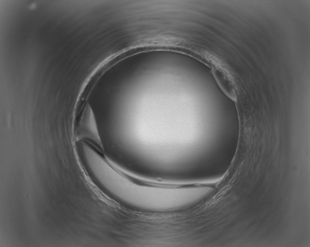 X0000082981085200702230027