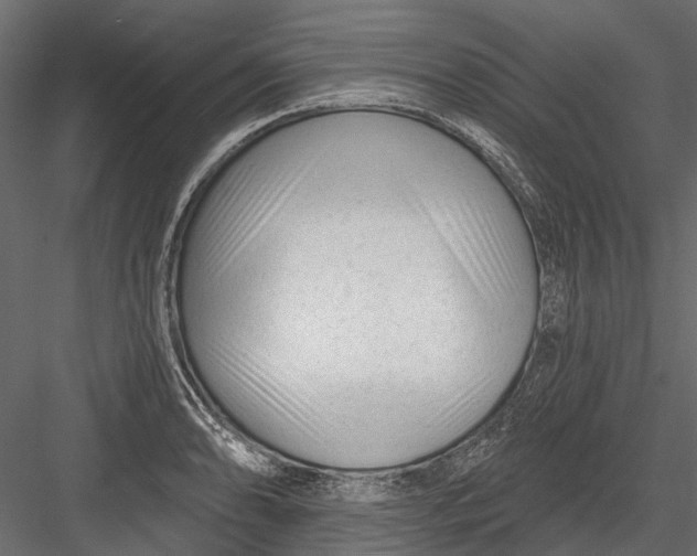 X0000082981086200702230027