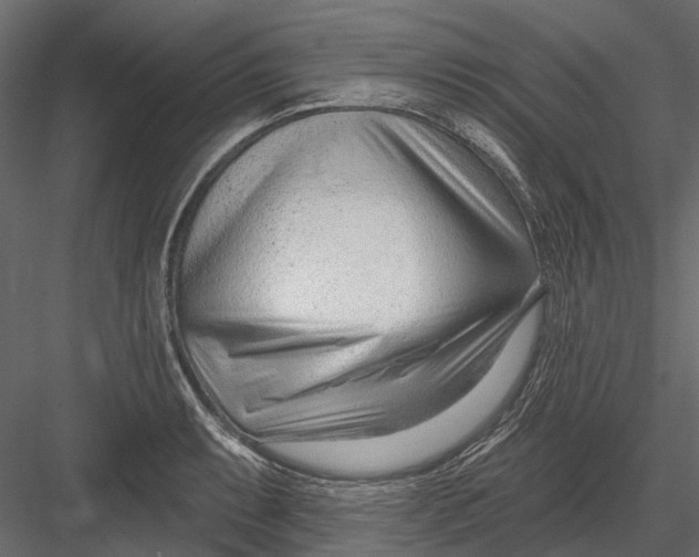 X0000082981087200702230027