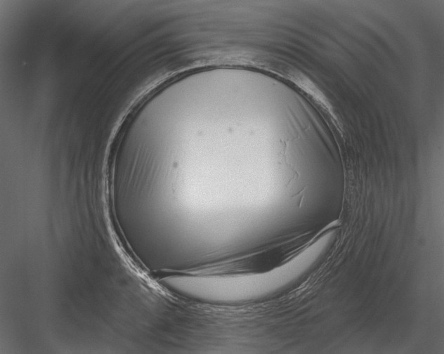 X0000082981088200702230027
