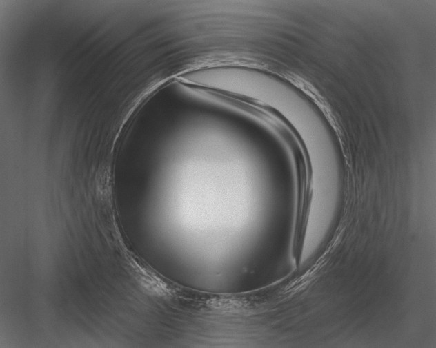 X0000082981089200702230027