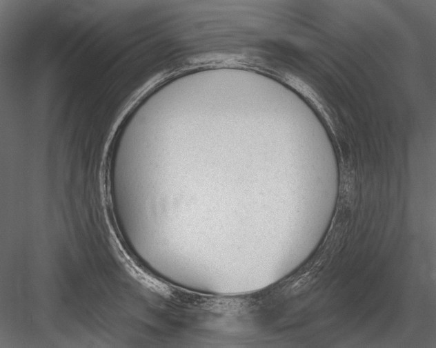 X0000082981090200702230027