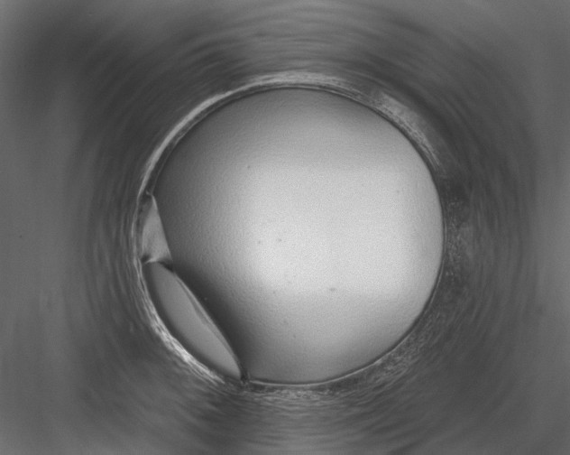 X0000082981092200702230027