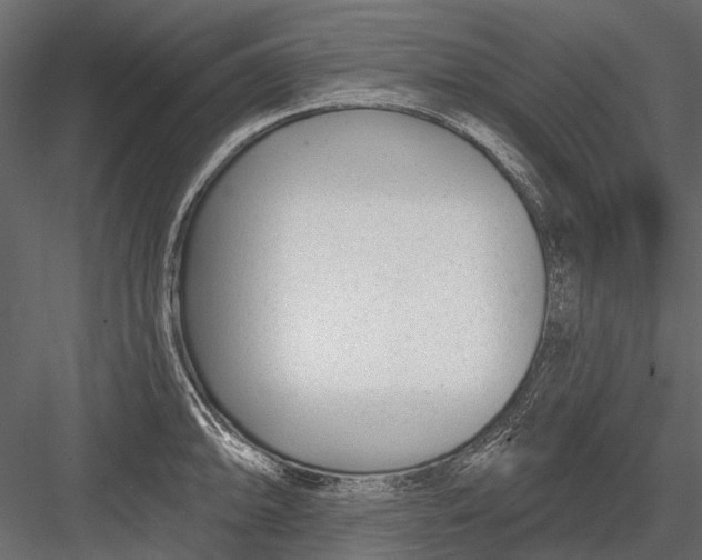 X0000082981094200702230027