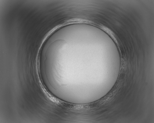 X0000082981098200702230027