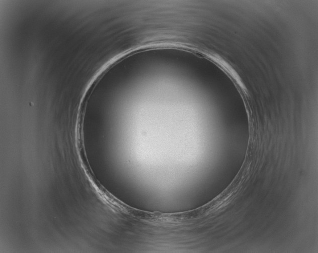 X0000082981101200702230027