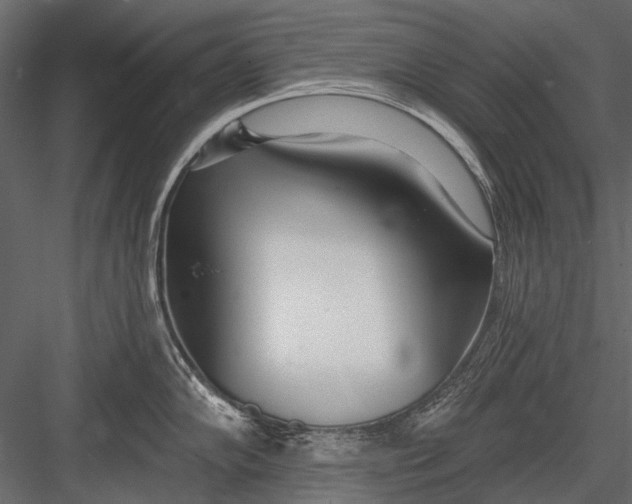 X0000082981102200702230027