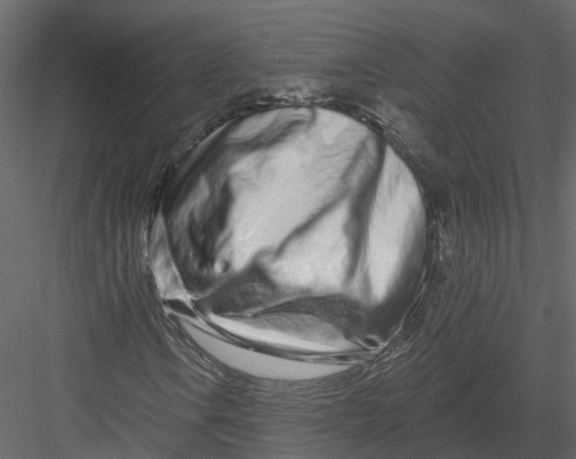 X0000082981106200702230026