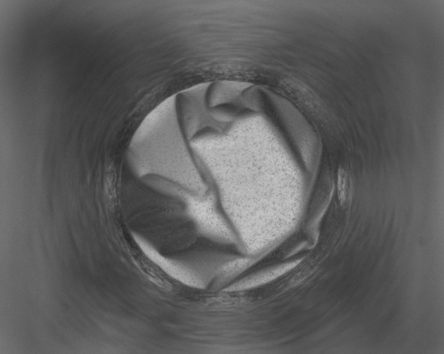 X0000082981107200702230026
