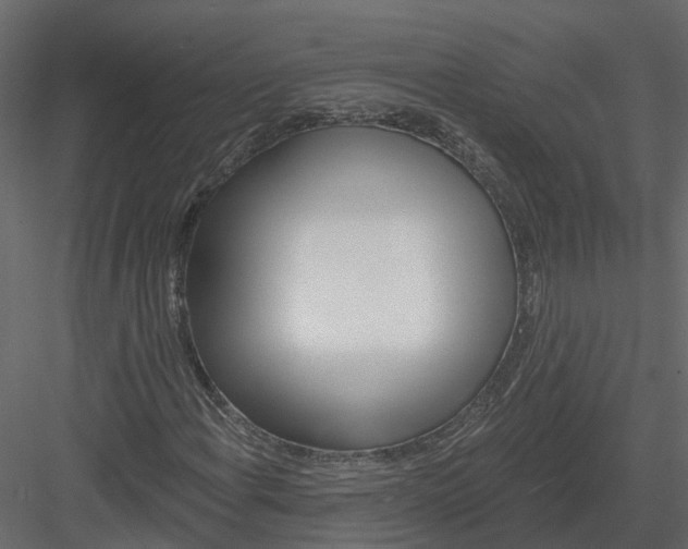 X0000082981108200702230026