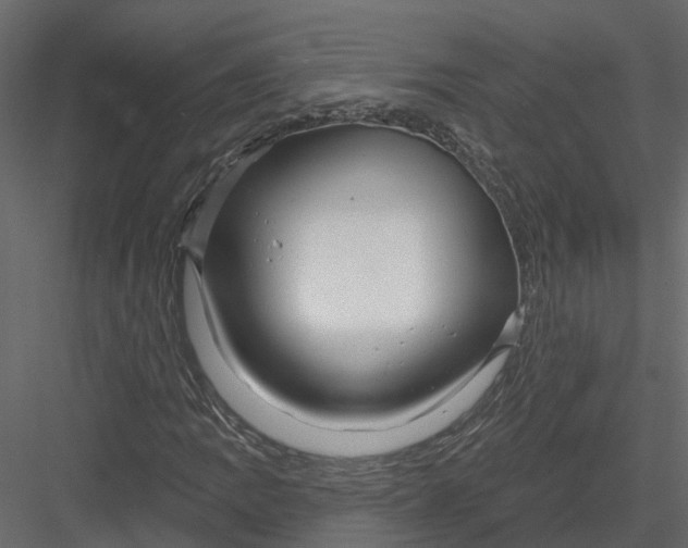 X0000082981109200702230026