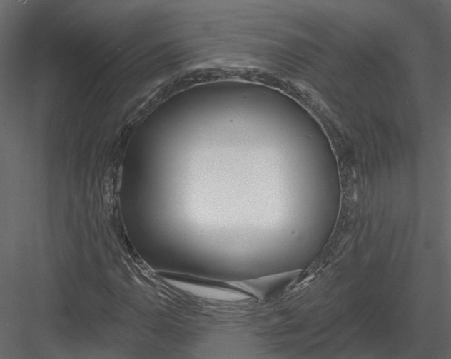 X0000082981110200702230026