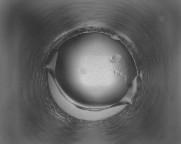 X0000082981112200702230026