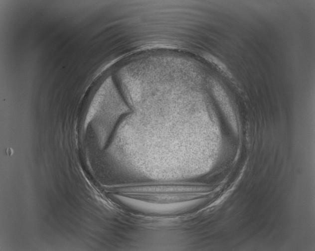 X0000082981113200702230026