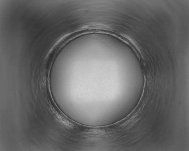 X0000082981115200702230026