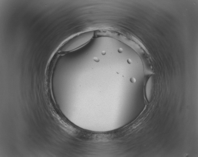 X0000082981116200702230026