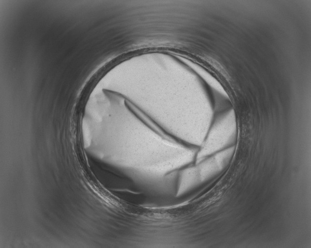 X0000082981119200702230026