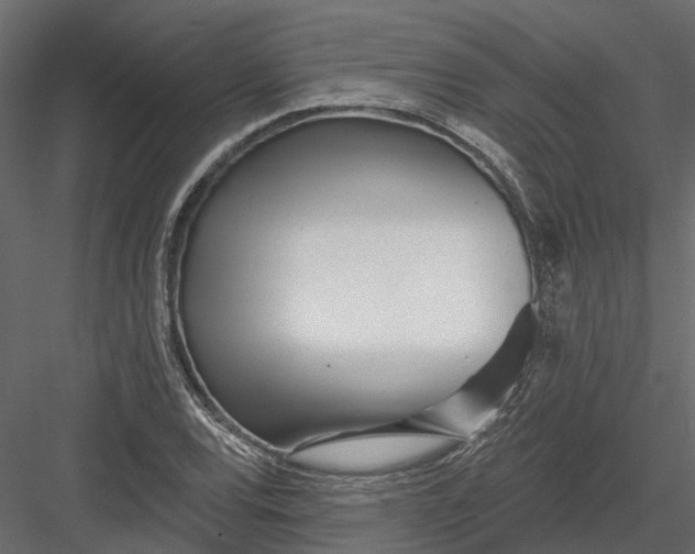 X0000082981120200702230026