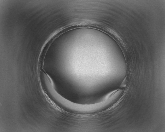 X0000082981122200702230026
