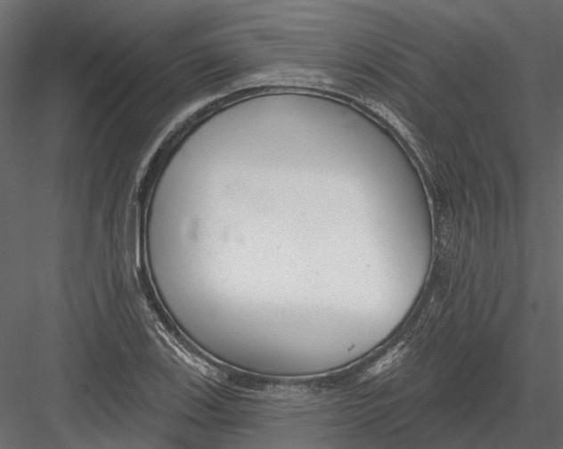 X0000082981123200702230026